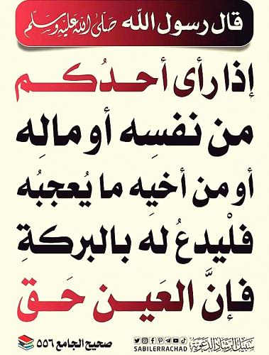     

:	٢٠٢٥٠٧٢٧_١٠١١١&#16.jpg
:	13
:	16.0 
:	2906