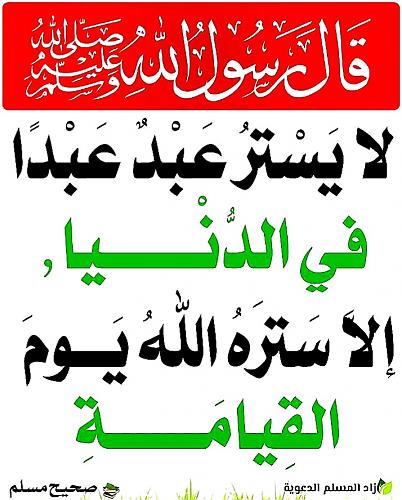     

:	٢٠٢٥٠٧٢٨_٢٠٢٦١&#16.jpg
:	8
:	18.0 
:	2907