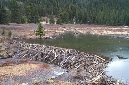 :	DCP_8263_medium.jpg
: 3126
:	32.1 