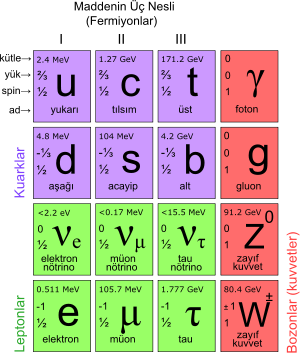     

:	300px-Standard_Model_of_Elementary_Particles_tr.svg.jpg
:	147
:	17.3 
:	1991