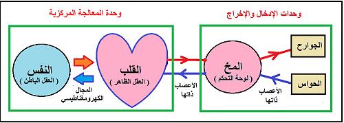     

:	بدون عنوان.jpg
:	3644
:	21.7 
:	2167