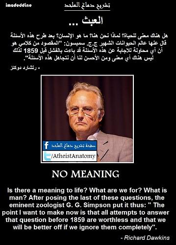     

:	Dawkins_no meaning.jpg
:	482
:	14.0 
:	1977