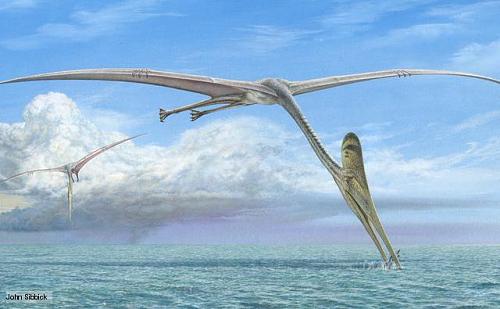     

:	pterosaur_1.jpg
:	338
:	17.4 
:	1412