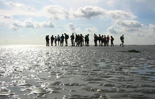     

:	Wadlopen_bij_Pieterburen_02a.jpg
:	214
:	24.0 
:	2160